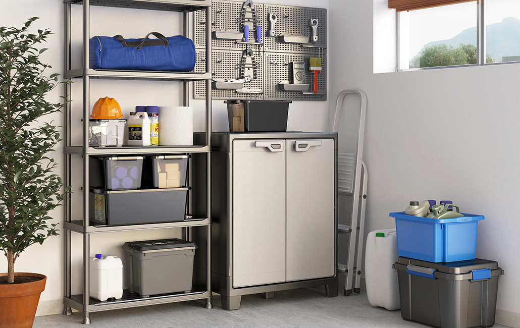 Organizacion Interior