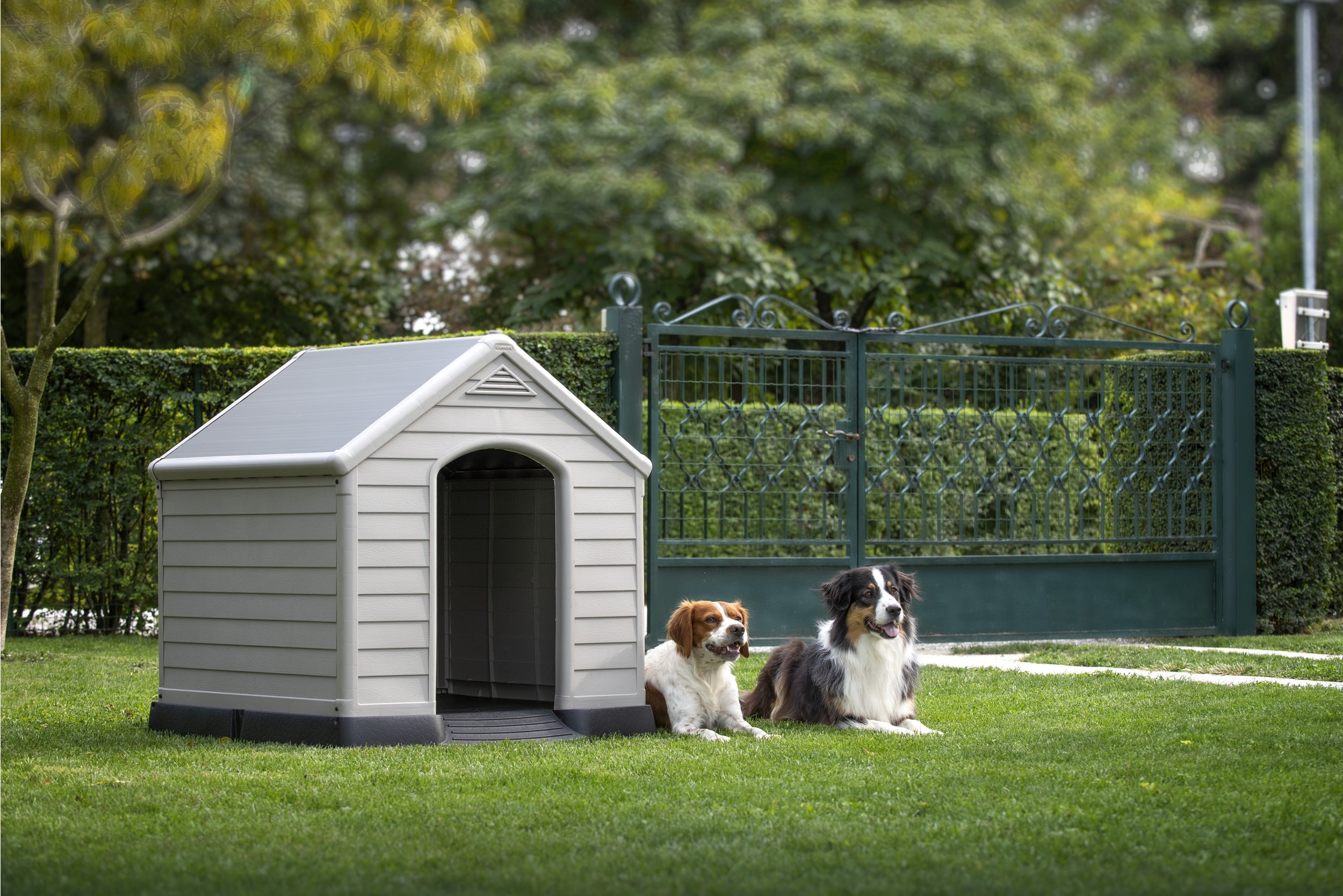 Casa para Perros Gris