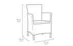 Silla de Jardin Iowa con Apoyabrazos Grafito